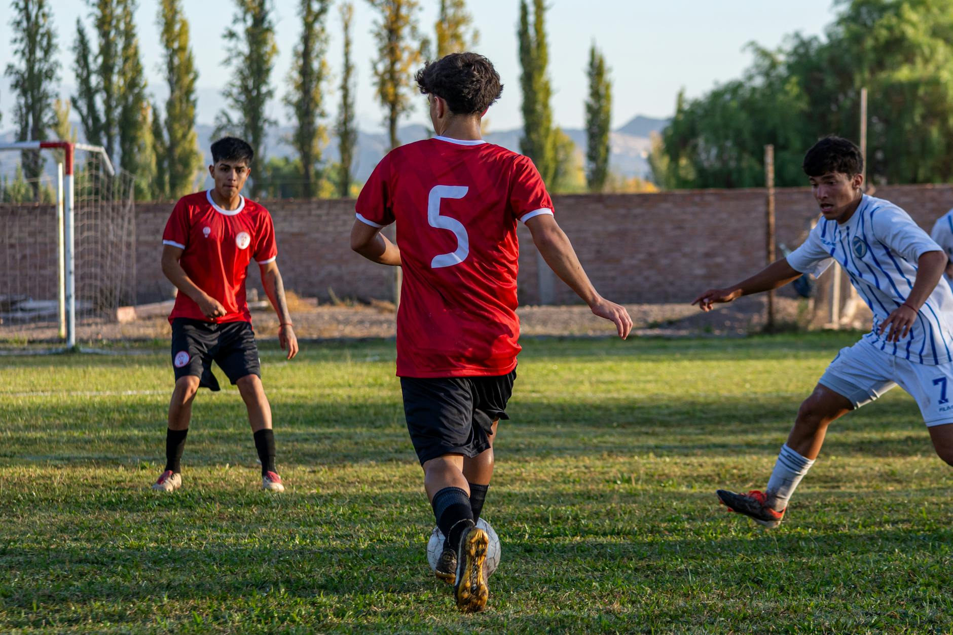 Young soccer players in action during a sunny match on a grassy outdoor field.