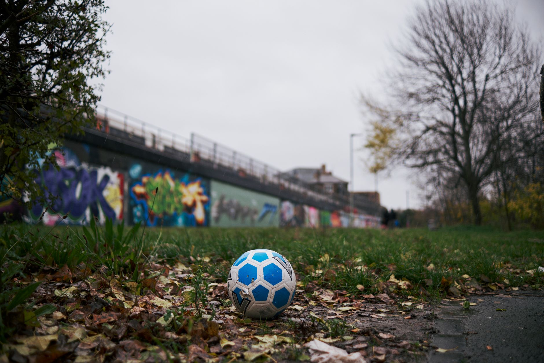 A soccer ball on grass in an urban park with graffiti wall during fall.
