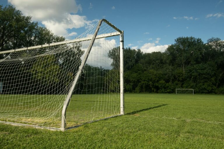 A vibrant soccer field with goalposts under a clear summer sky, surrounded by lush trees.
