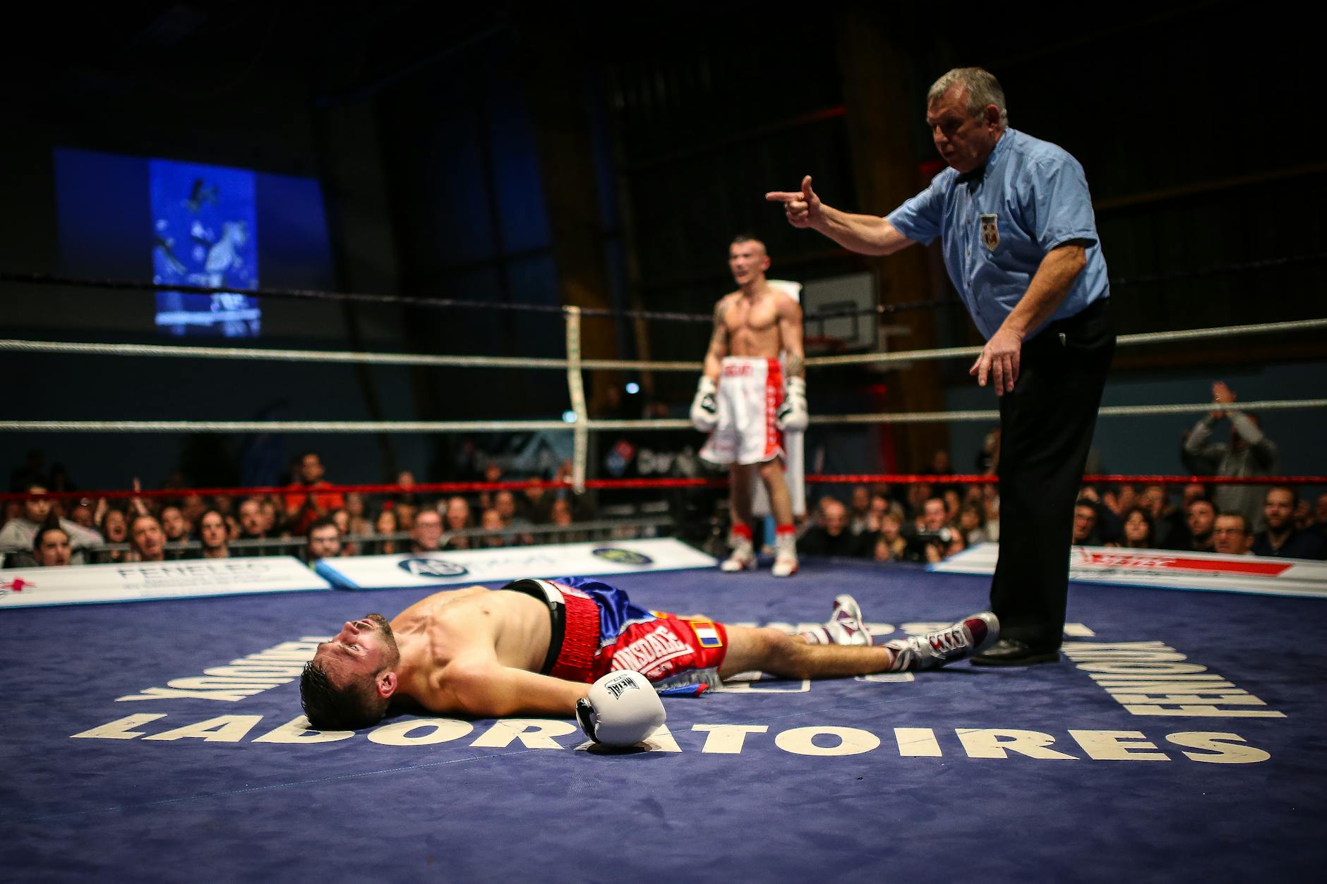 A boxer lies knocked out in the ring as the referee counts, with a crowd watching intently.