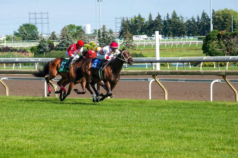 Action-packed horse racing with jockeys competing on a sunny day at a vibrant outdoor track.