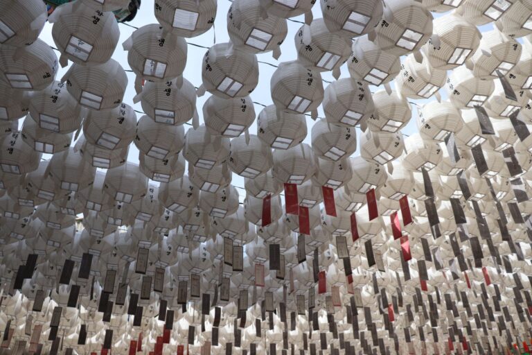Rows of traditional paper lanterns hang outdoors in a festive display, capturing cultural heritage and artistry.