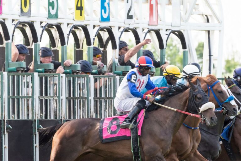 Thrilling horse race kickoff with jockeys and thoroughbreds at starting gates.