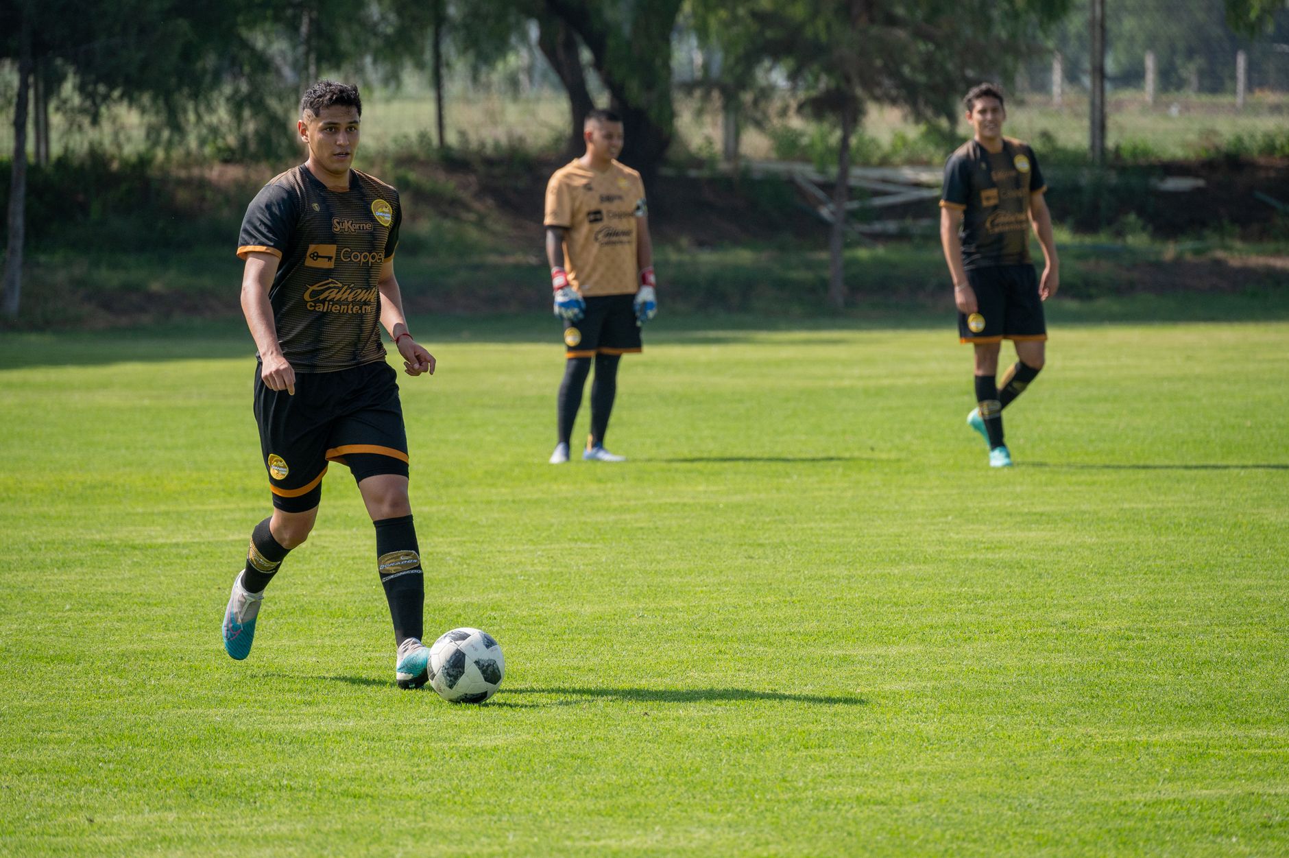 A young soccer player in uniform prepares to pass on a sunny day at the field.