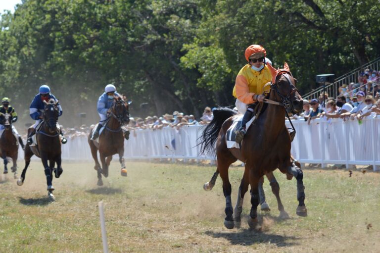 Exciting horse race capturing jockeys in action with a cheering crowd under sunny skies.