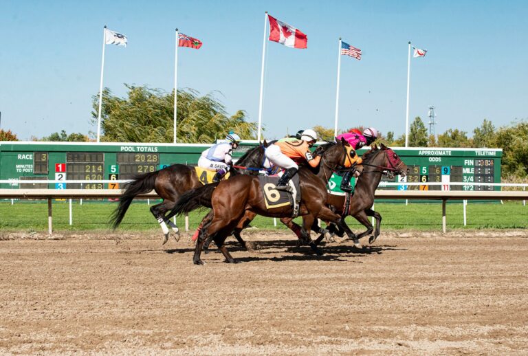 Dynamic horse race with jockeys in action capturing the thrilling moment of the competition.