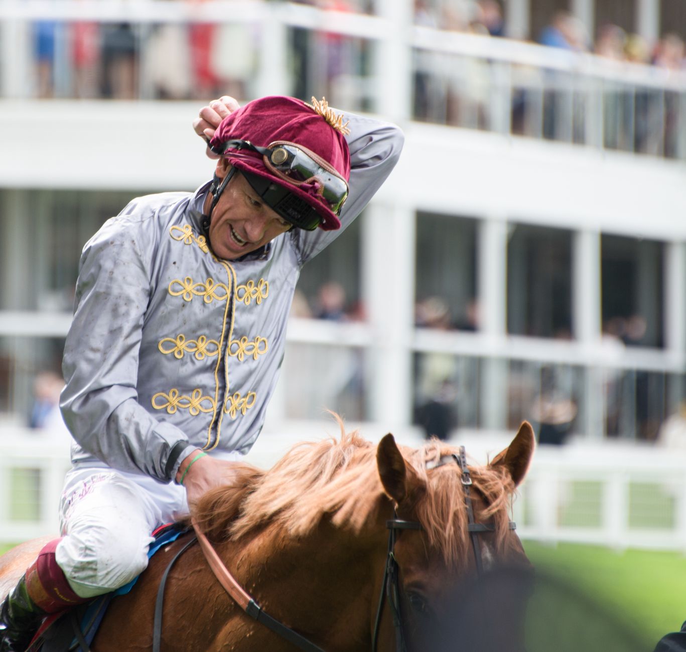 Jockey celebrating victory at Ascot Racecourse, England on a thoroughbred horse.