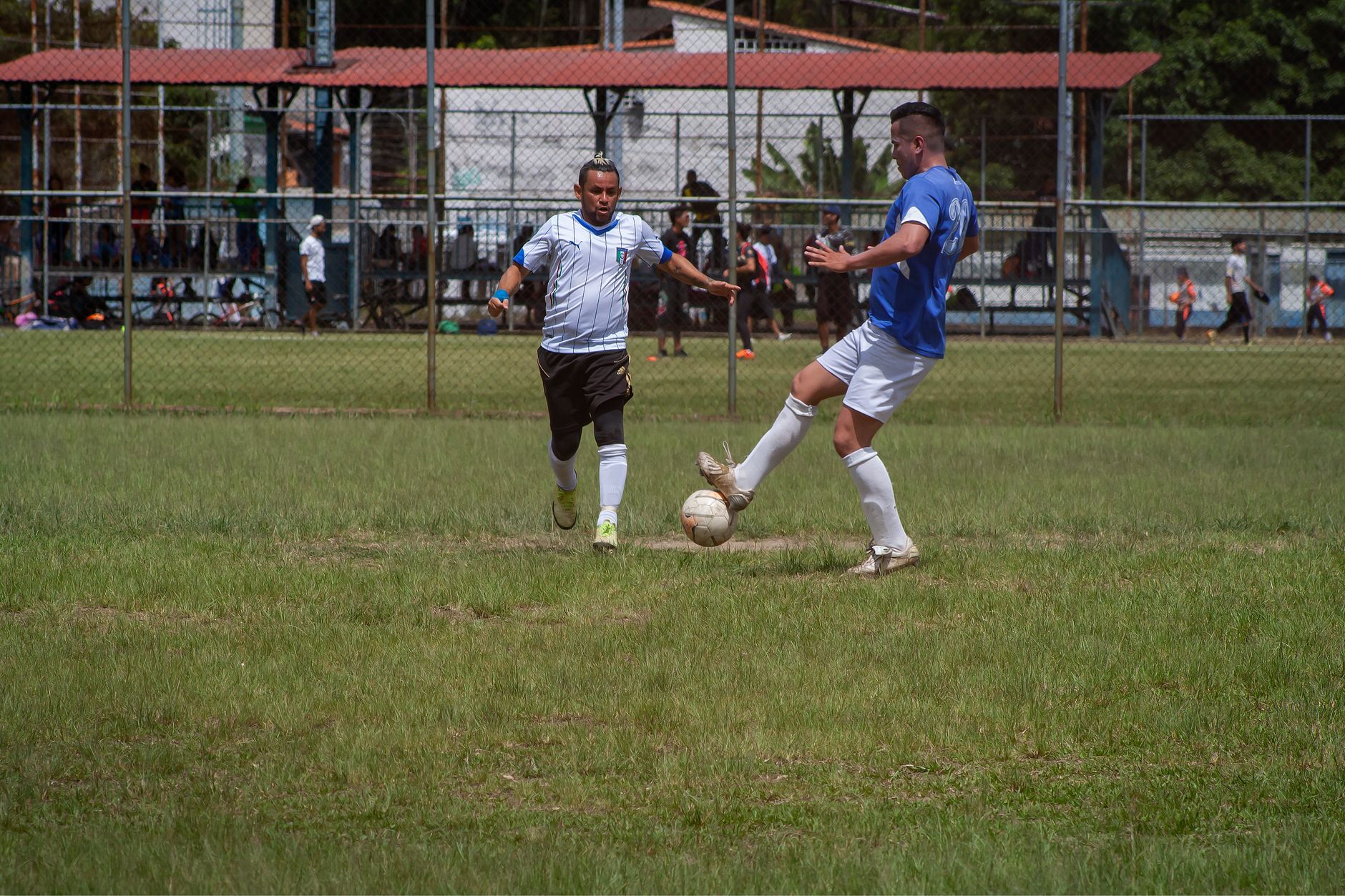 Two male soccer players competing in an outdoor match on a sunny day.