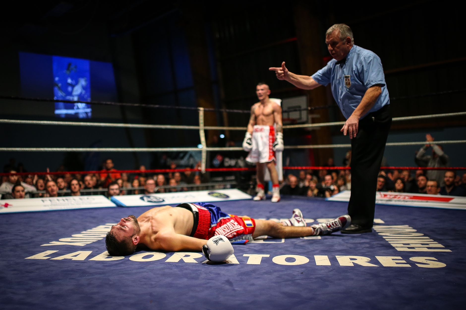 A boxer lies knocked out in the ring as the referee counts, with a crowd watching intently.