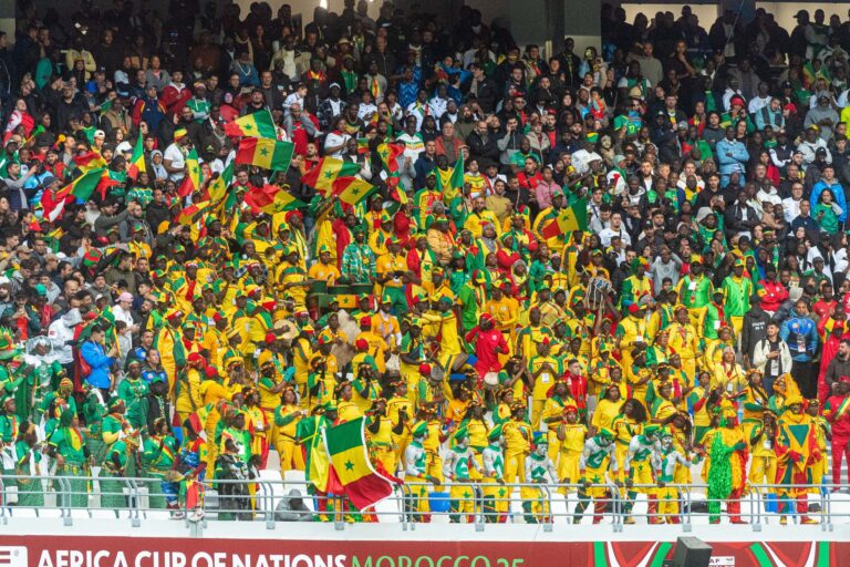 Vibrant crowd of football fans showing enthusiasm during Africa Cup of Nations match.
