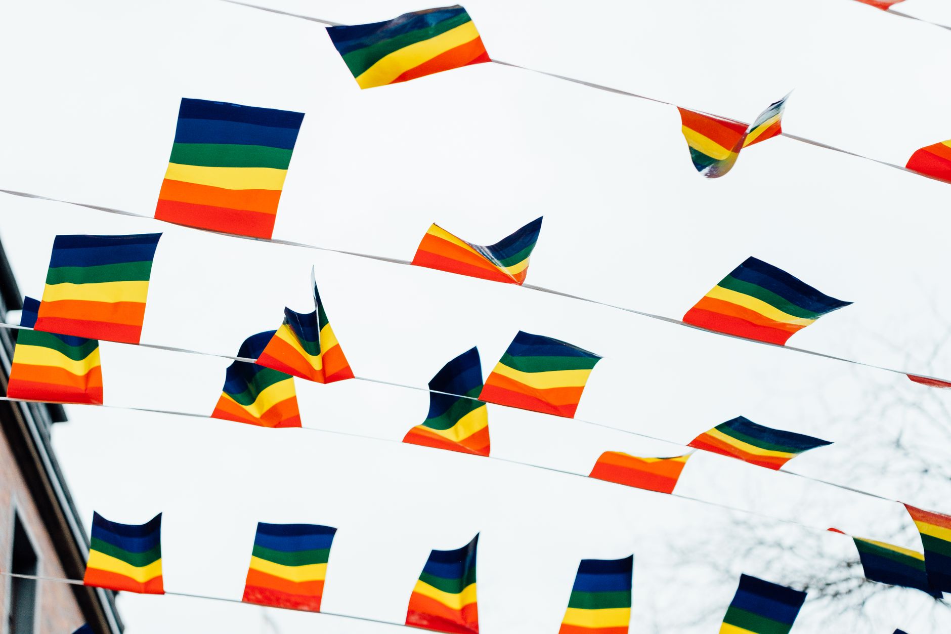 Vibrant rainbow pride flags fluttering outdoors under a bright sky, symbolizing LGBTQ+ equality.