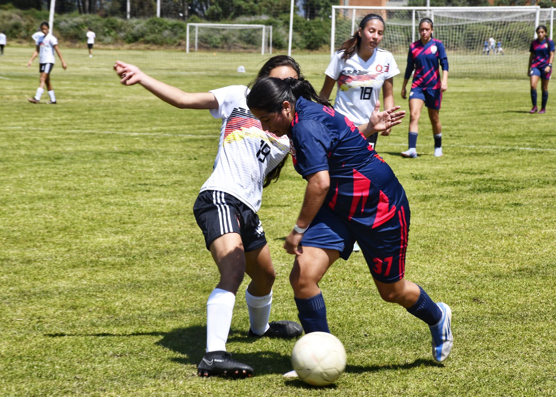 Women fiercely competing in a soccer match on a sunny day, showcasing intense sports action.