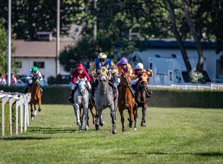 Exciting horse racing scene capturing speed and motion at a vibrant event.