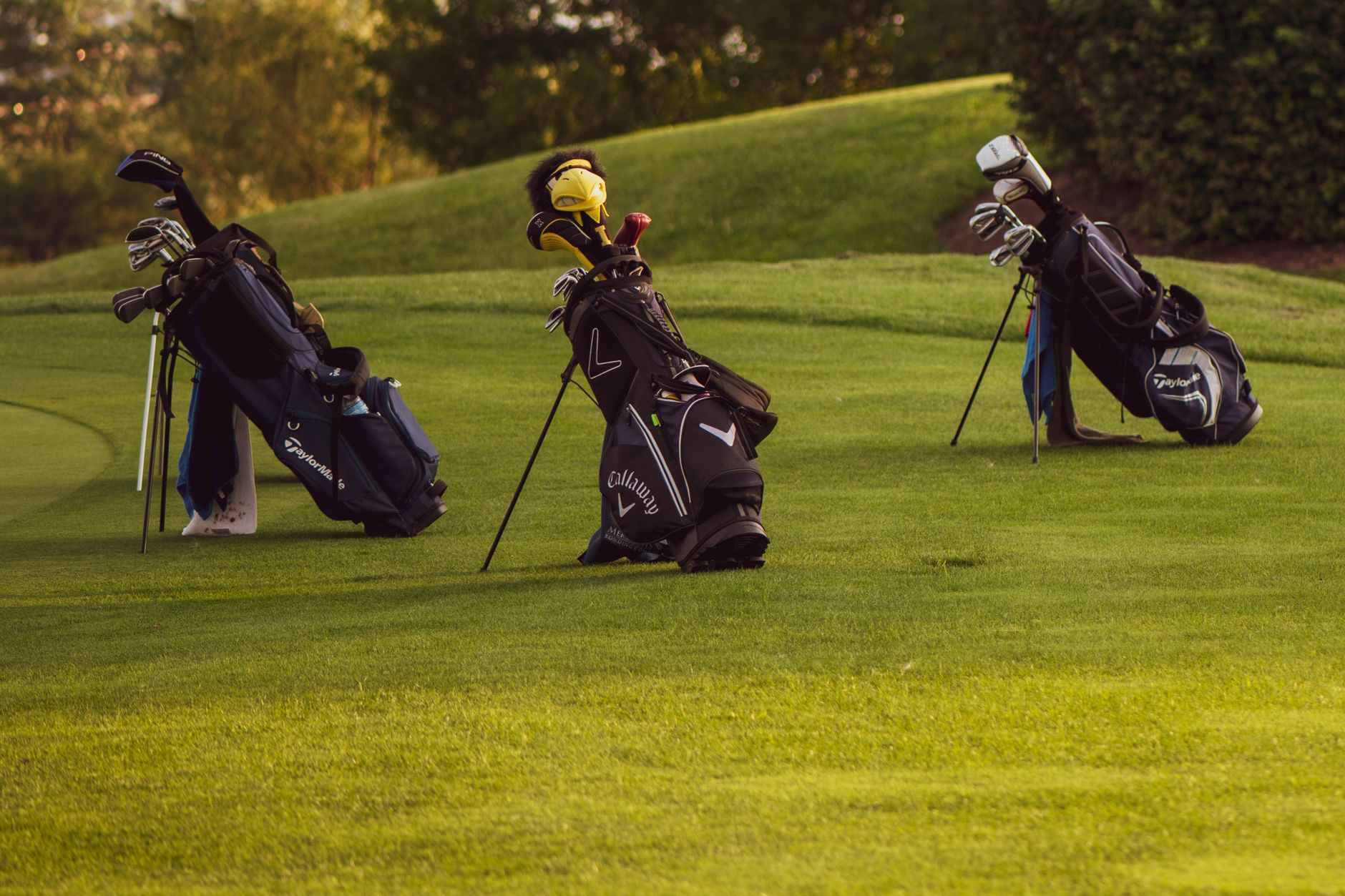 Set of golf bags on a sunlit golf course ready for a game.