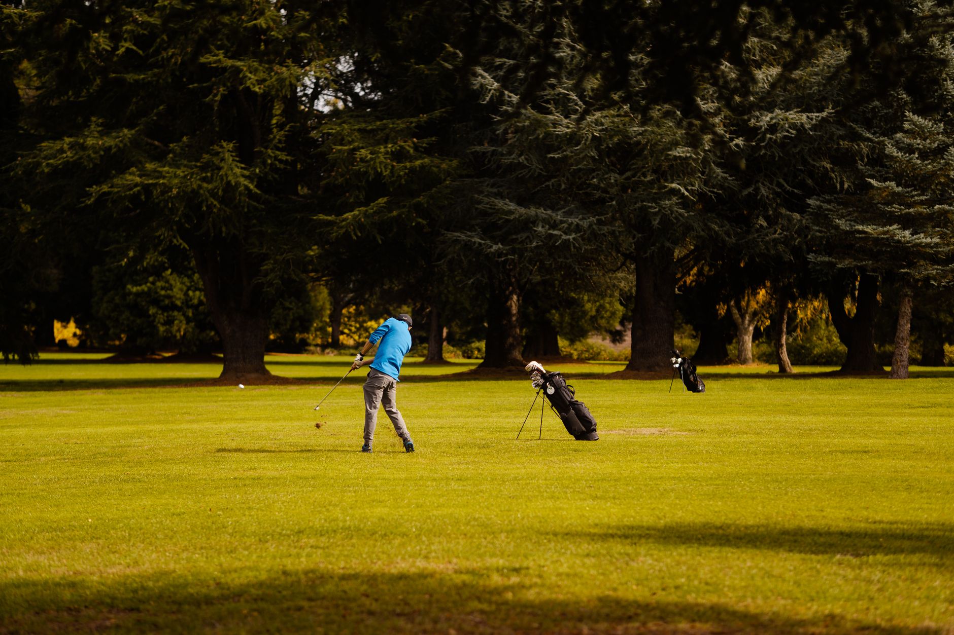 A golfer takes a swing on a lush course, surrounded by trees on a bright day.