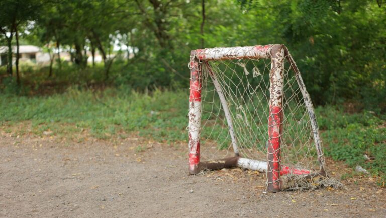 A rustic red goal post stands in a forested area, showcasing natural beauty and simplicity.