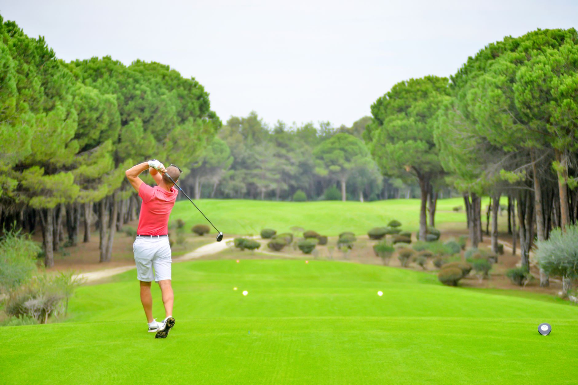 Back view of a golfer swinging a club on a lush golf course in Antalya, Türkiye.