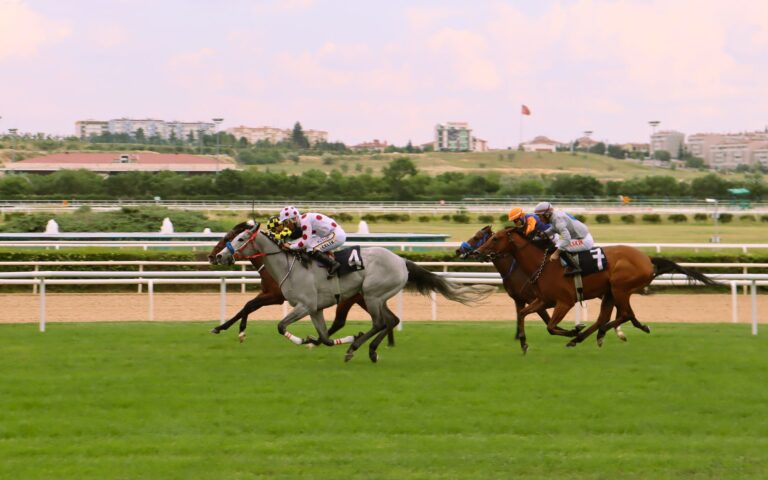 Exciting horse race with jockeys in vibrant apparel competing on a lush green racetrack.