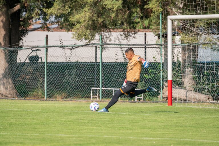 A goalkeeper kicks the ball on a soccer field, captured outdoors during daytime.