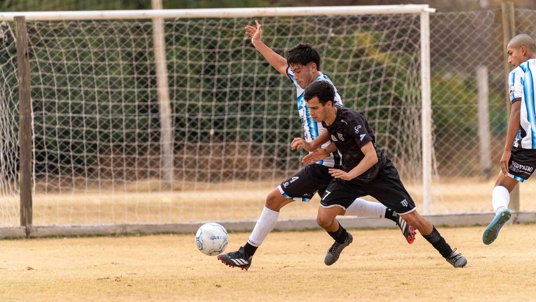 Players compete in an exciting soccer match on a grass field during the day.