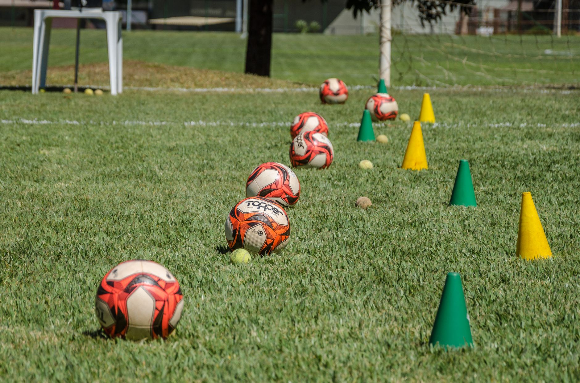 Soccer training equipment arranged on grass in Brasília, Brazil, featuring balls and cones.