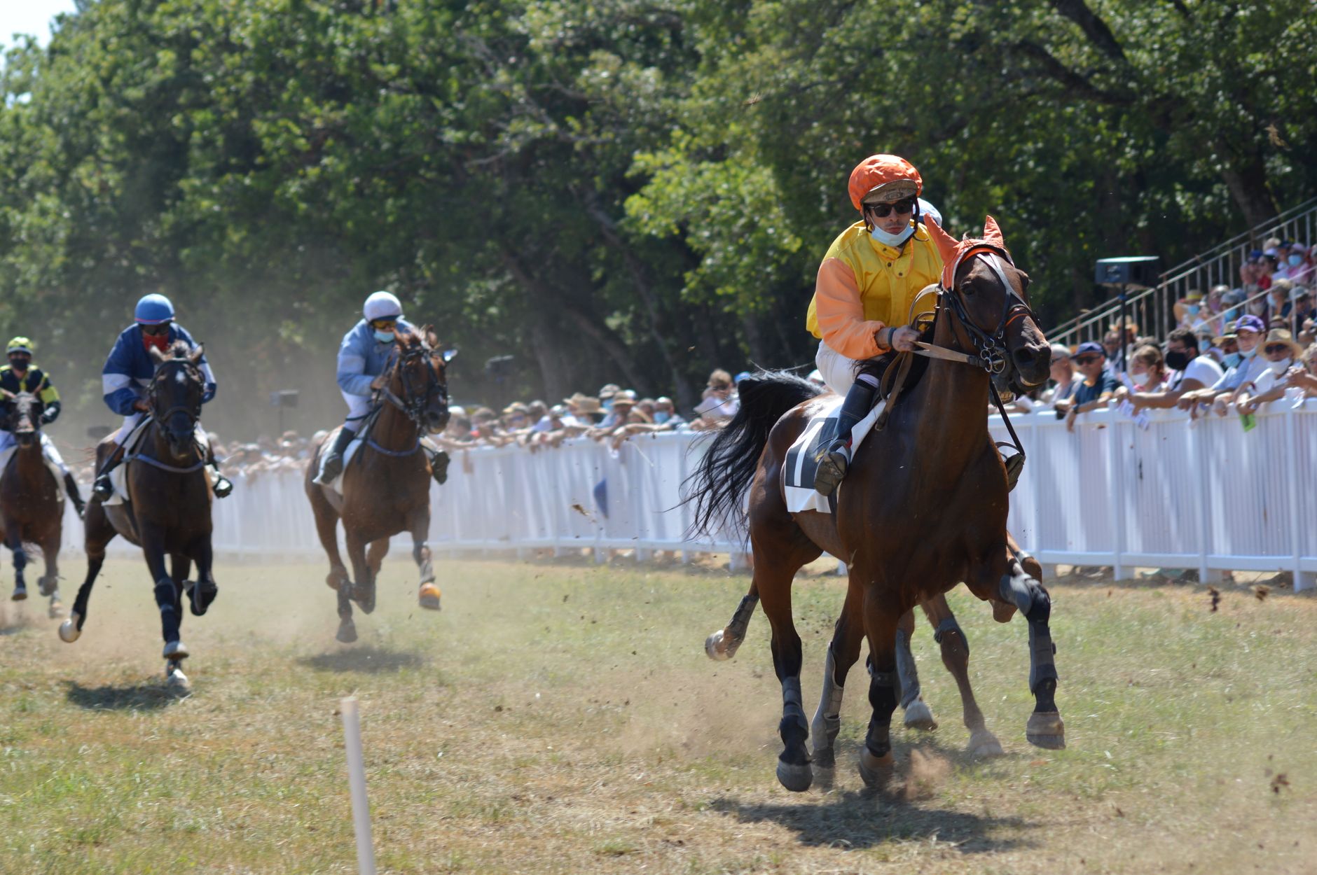 Exciting horse race capturing jockeys in action with a cheering crowd under sunny skies.