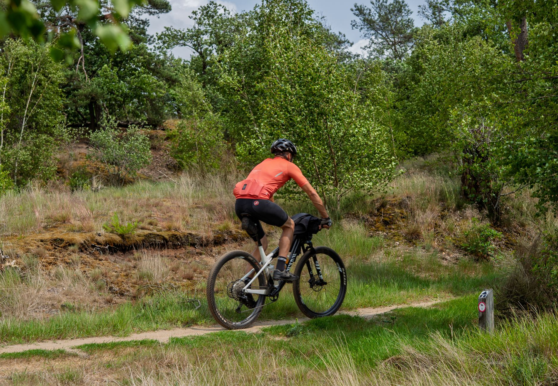 Adult cyclist rides mountain bike on a forest trail, enjoying outdoor nature adventure.