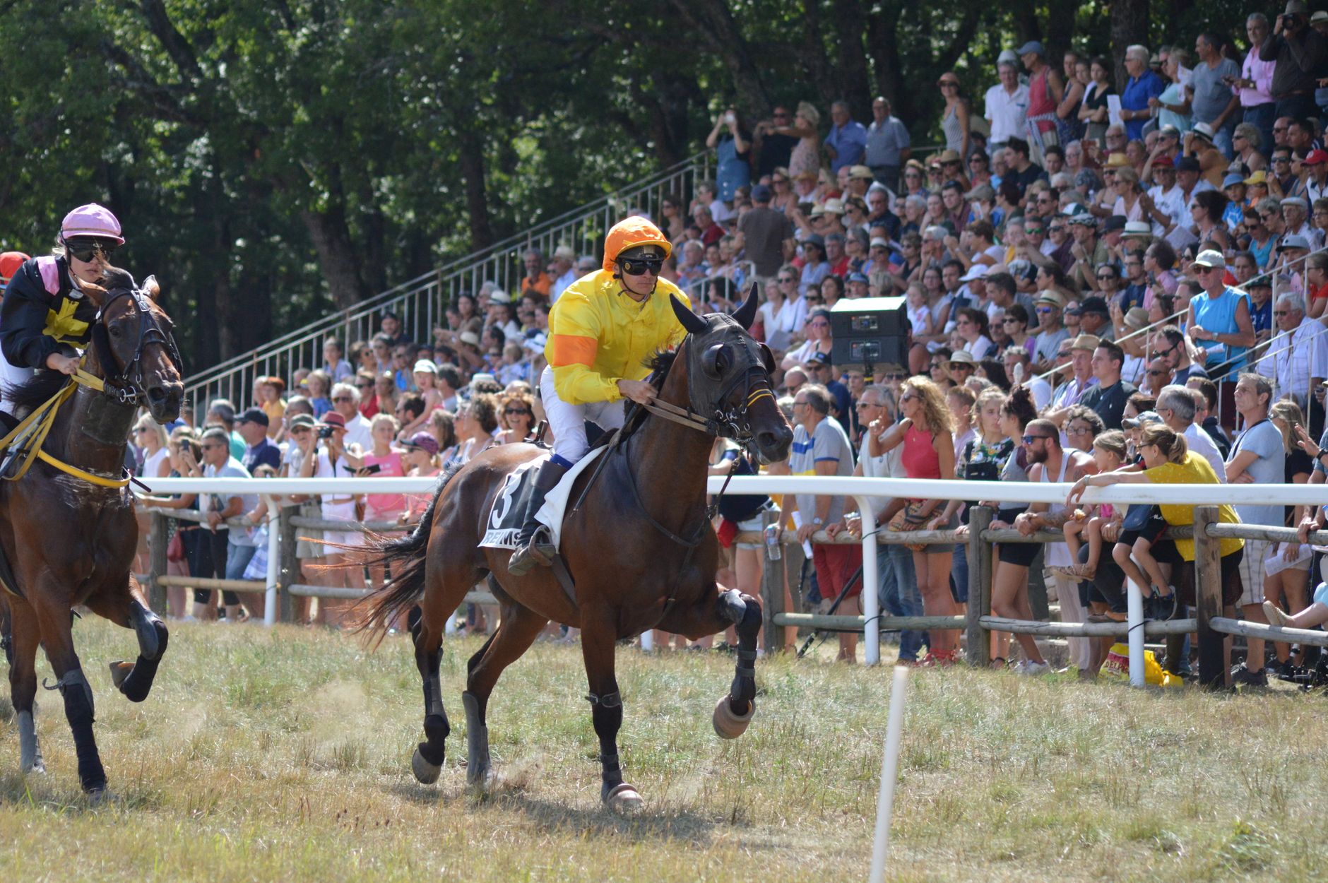Exciting horse race with jockeys and cheering crowd on a sunny day.