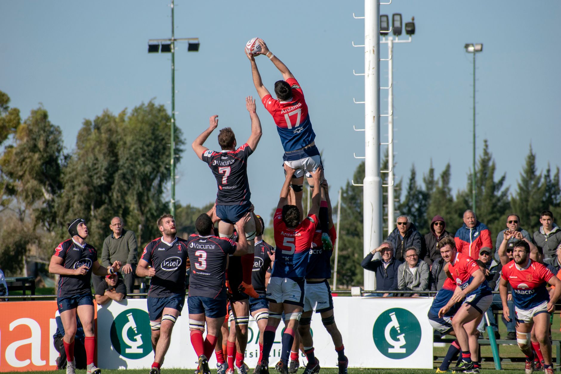 Rugby players competing midair in a dynamic outdoor match in Buenos Aires, Argentina.