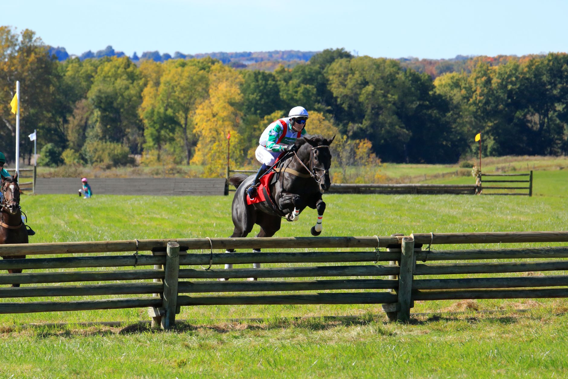 A thrilling steeplechase event featuring a jockey and horse in mid-jump at Geneseo, NY.