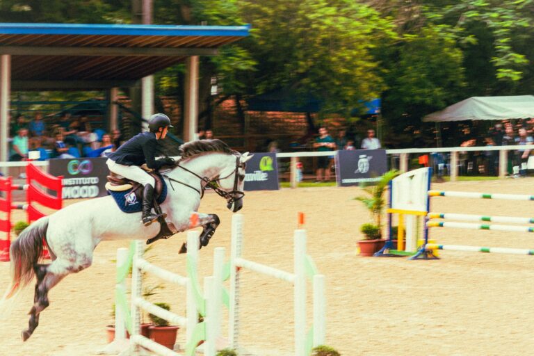Dynamic equestrian event capturing a rider and horse in a jumping competition.