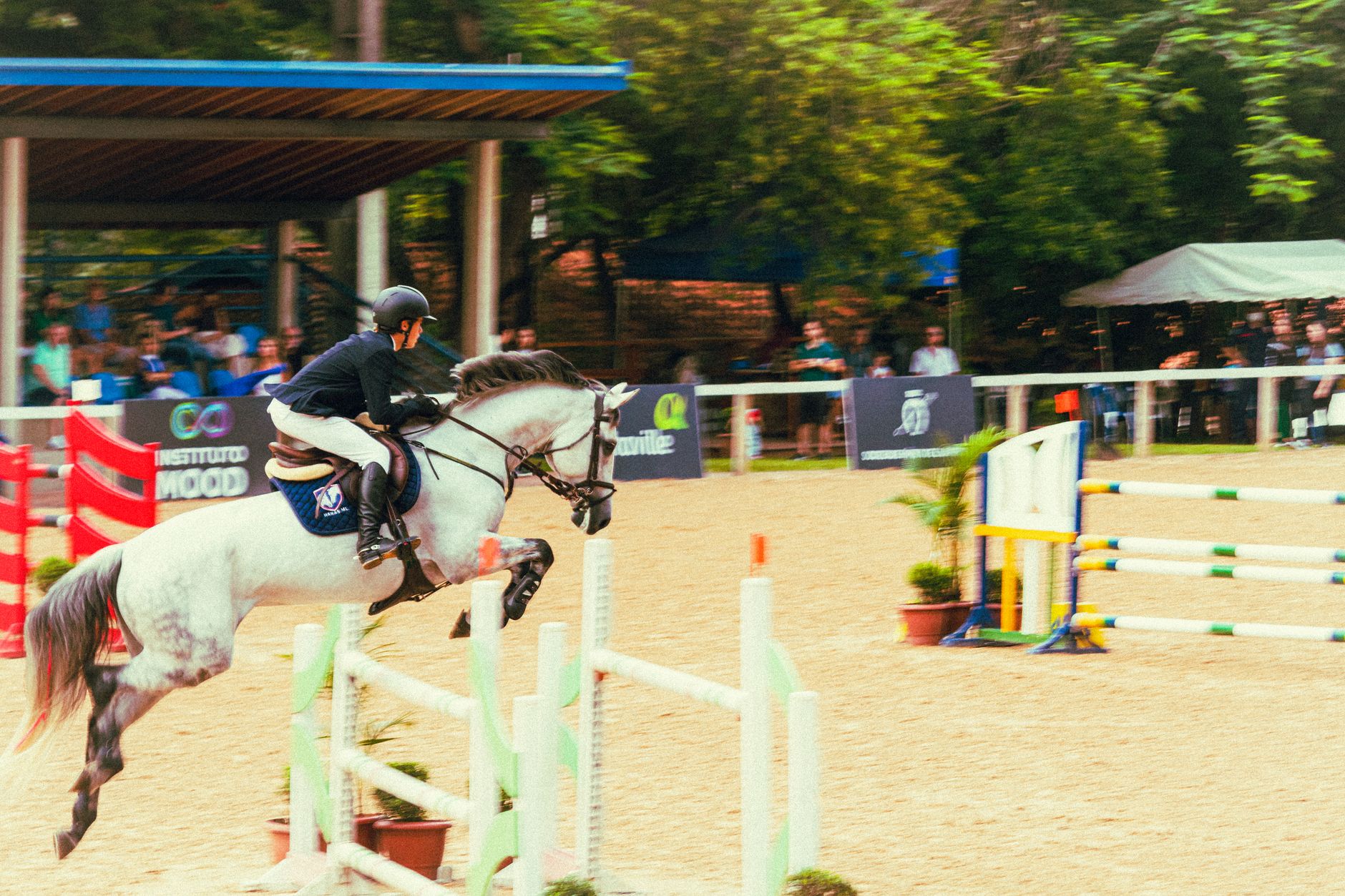 Dynamic equestrian event capturing a rider and horse in a jumping competition.
